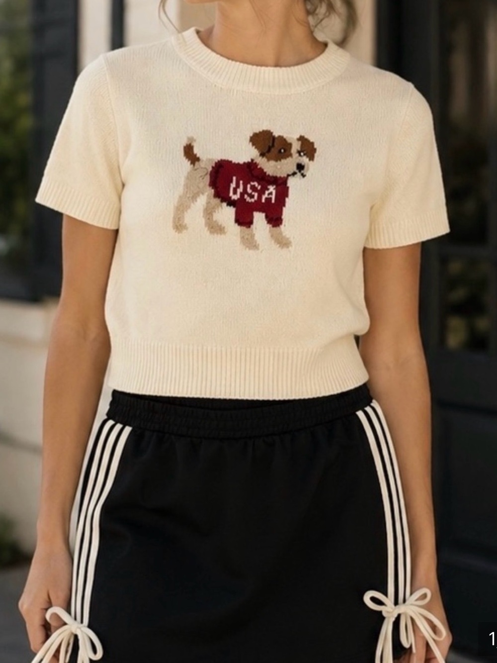 Le Lis Cream 2 Piece Dog Sweater and Coordinating Skirt.